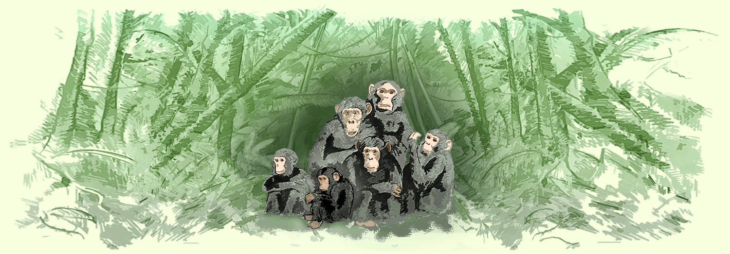 Illustration of a chimpanzee family group