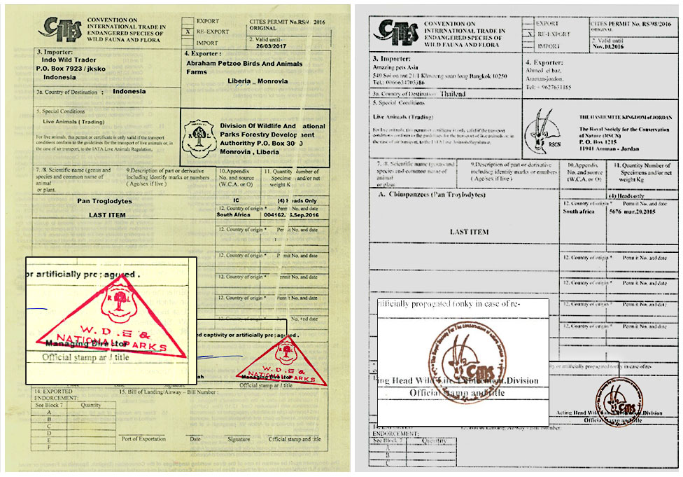 Cites permits obtained by the BBC