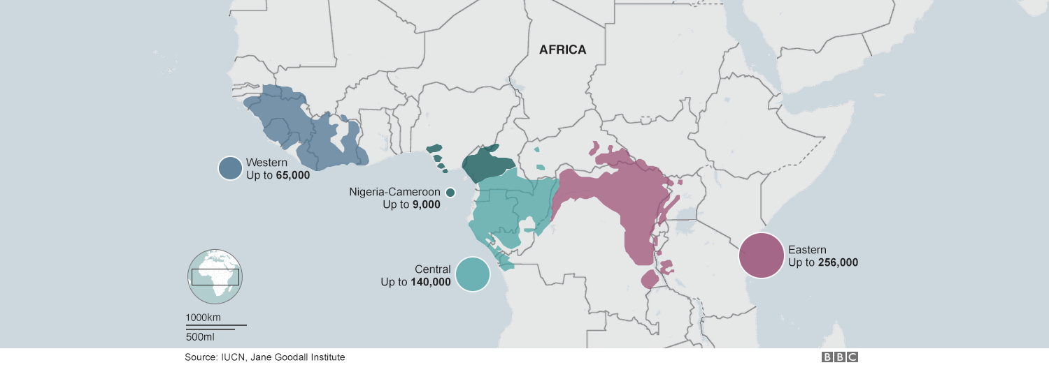 Map showing current chimpanzee populations