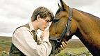 War Horse