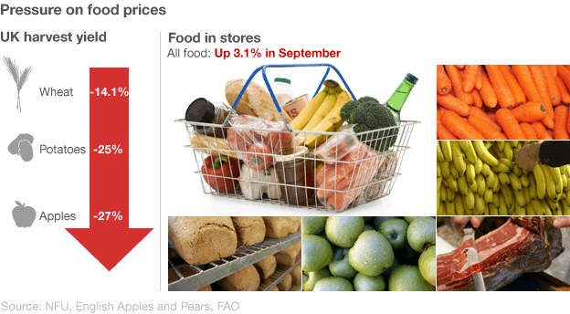 Graphic showing pressure on food prices in the UK