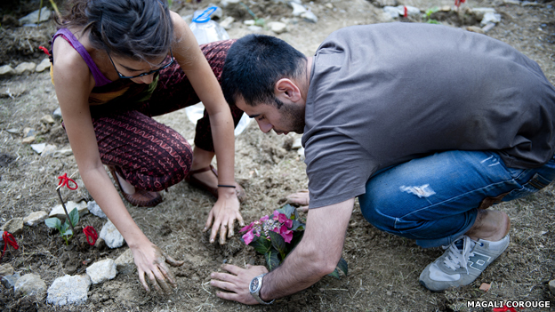 Planting flowers