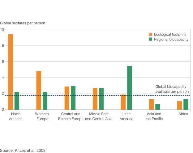 Global resource consumption